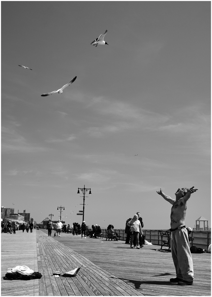 Gidez Reed Bird Man of Coney Island Print   Mono   Class A 20251112